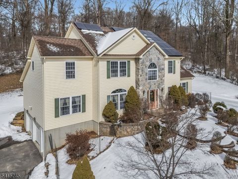 3 Elk Ridge Rd Lebanon Twp. NJ 07830