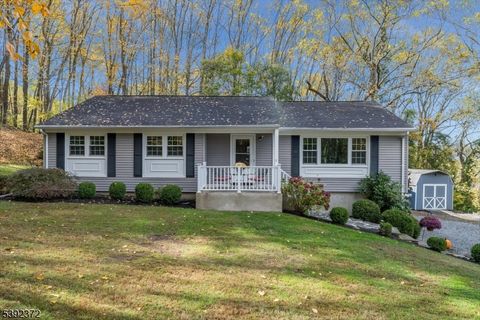 288 Bellis Rd Holland Twp. NJ 08848