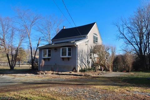 557 Pleasant Plains Rd Long Hill Twp. NJ 07946