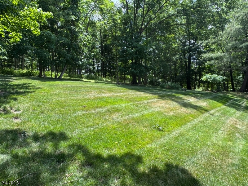 244 Butternut Dr