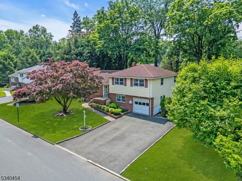 8 Delmar Ave Cresskill Boro NJ 07626
