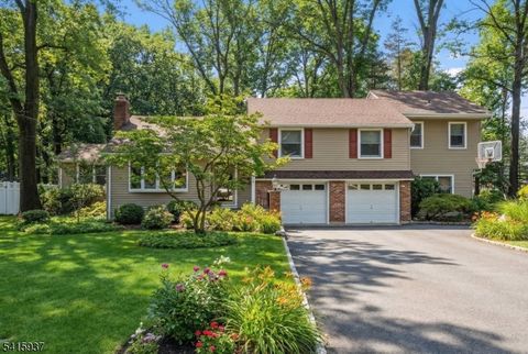 1510 Ramapo Way Scotch Plains Twp. NJ 07076