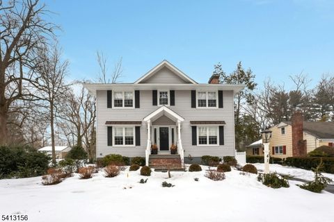 41 Fairview Ave New Providence Boro NJ 07974