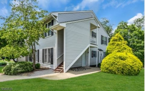 321 Sparrow Ct Readington Twp. NJ 08887