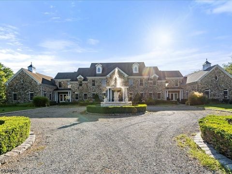 406 Caruso Ct Branchburg Twp. NJ 08853