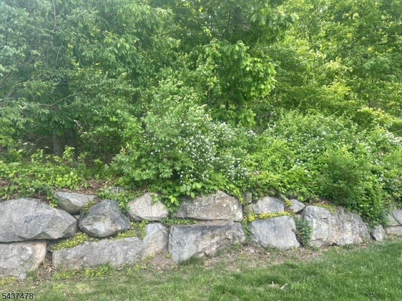 9169 Ashland Ct