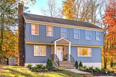 24 Arapaho Trl Sparta Twp. NJ 07871