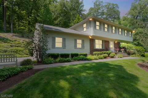 71 Mount Harmony Rd Bernardsville Boro NJ 07924