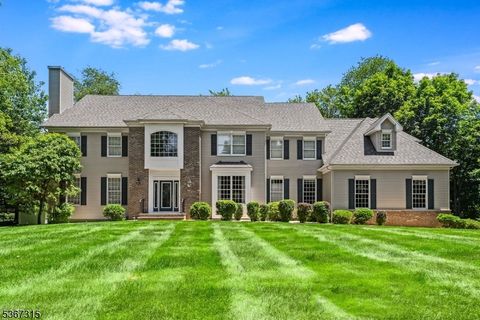 3 Mackenzie Ct Sparta Twp. NJ 07871