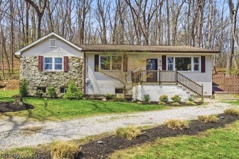 36 Danville Mountain Rd Liberty Twp. NJ 07838