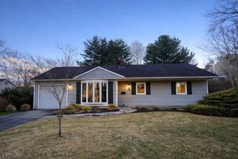 3 Spalding Dr Livingston Twp. NJ 07039