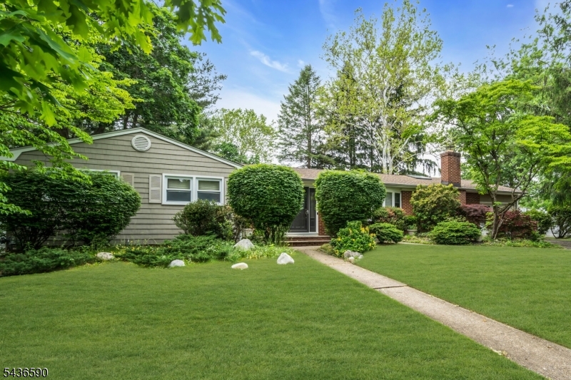 3 Packard Rd