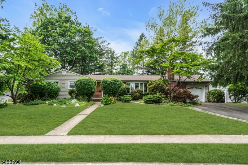 3 Packard Rd