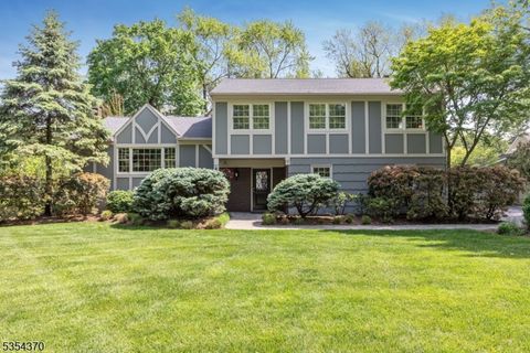 7 Pletcher Pl Morris Twp. NJ 07960
