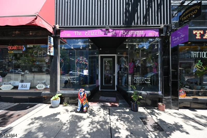 543 Bloomfield Ave