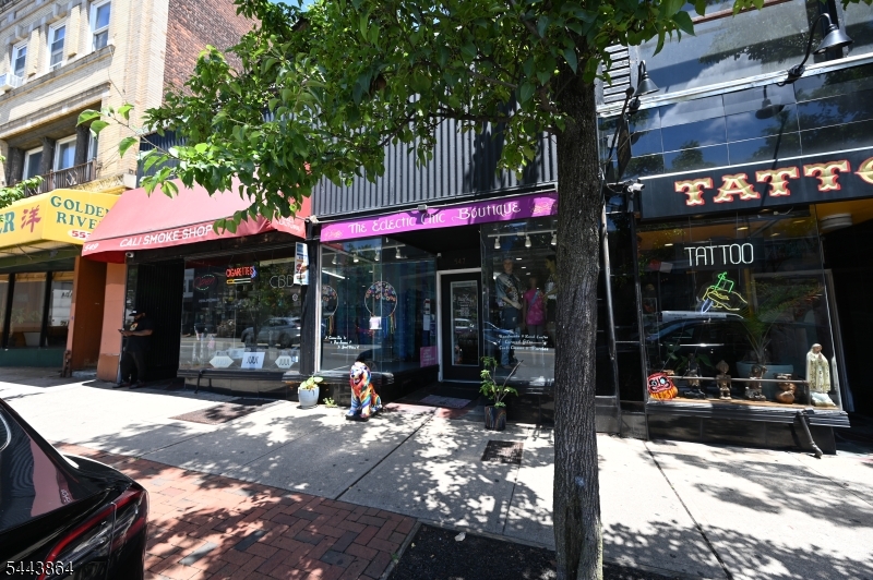 543 Bloomfield Ave