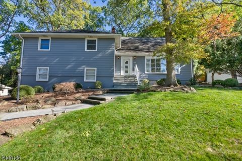 44 Rumson Rd Livingston Twp. NJ 07039