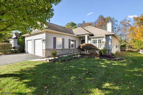 Photo of 29 Daulton Dr, Franklin, NJ 08873 (MLS # 3994007)
