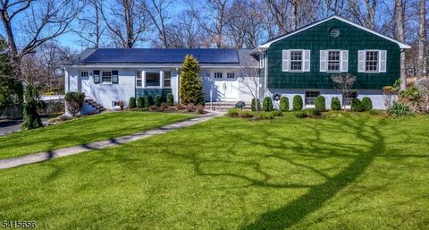 3 Sylvan Ct Livingston Twp. NJ 07039