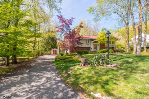 Photo of 11 Hillcrest Dr, Randolph, NJ 07869 (MLS # 3996078)