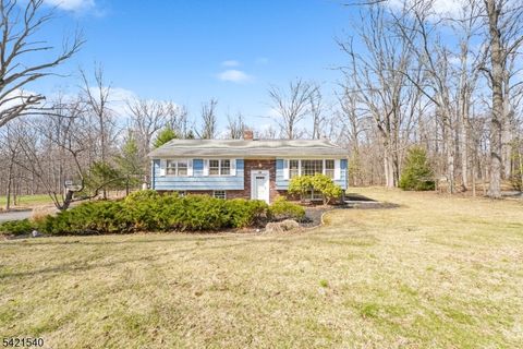 59 Ferguson Rd Warren Twp. NJ 07059