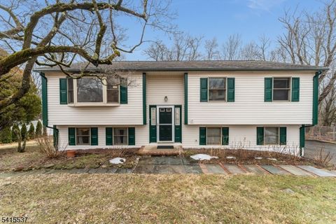 21 Slope Dr Mansfield Twp. NJ 07840
