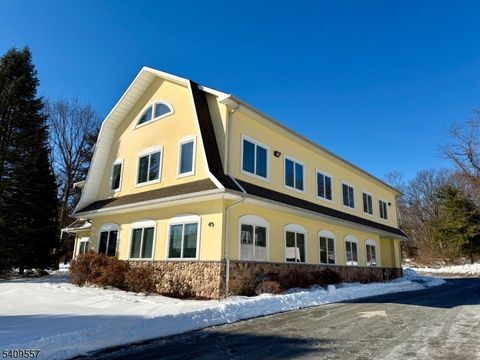 43 Bloomfield Ave Mountain Lakes Boro NJ 07046