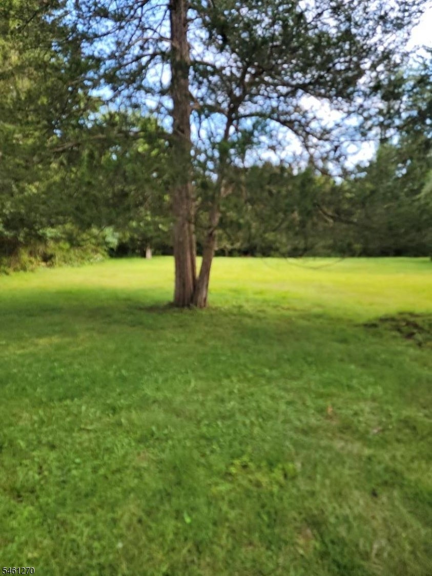 67 Woodland Rd