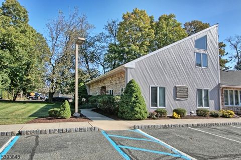 2 North Rd Chester Boro NJ 07930