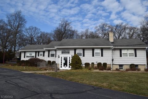 355 Rt 46 West Mountain Lakes Boro NJ 07054
