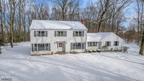 6 Prides Crossing Chester Twp. NJ 07930