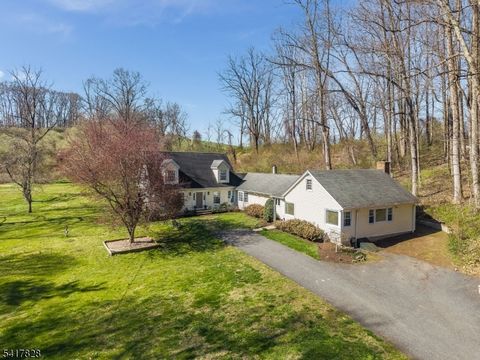 293 Stanton Mountain Rd Clinton Twp. NJ 08833