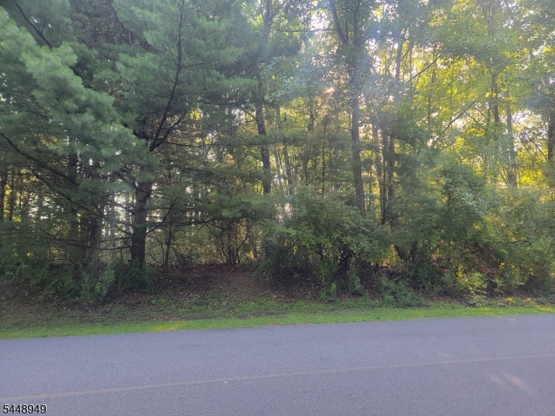 337 Wagon Wheel Rd