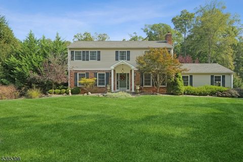 39 Red Hill Rd Warren Twp. NJ 07059