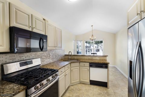 12 Woodmont Dr Randolph Twp. NJ 07869