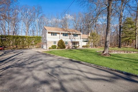 68 Fairchild Pl Hanover Twp. NJ 07981