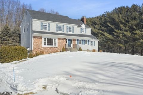 15 Fleming Court Washington Twp. NJ 07853