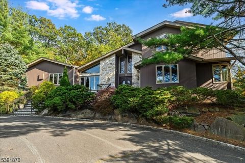 14 Putnam Rd Livingston Twp. NJ 07039