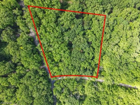 160 Jockey Hollow Rd Bernardsville Boro NJ 07924