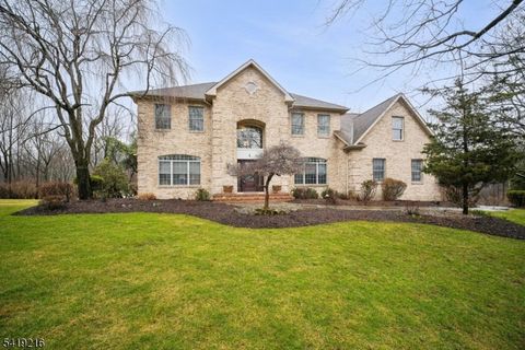 1 Trout Brook Ln Randolph Twp. NJ 07945