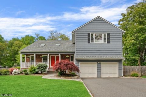 53 Woodland Ave Morris Twp. NJ 07960
