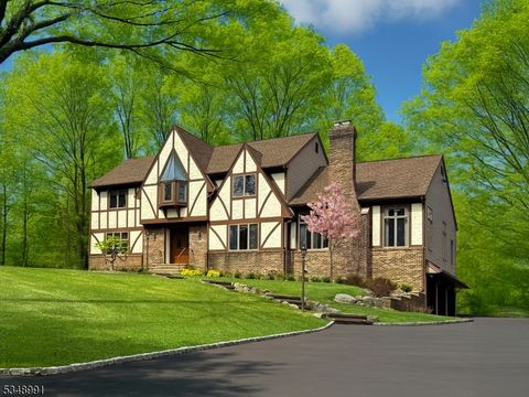 7 Hillside Ave Upper Saddle River Boro NJ 07458