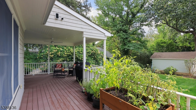559 Lawrence Ave