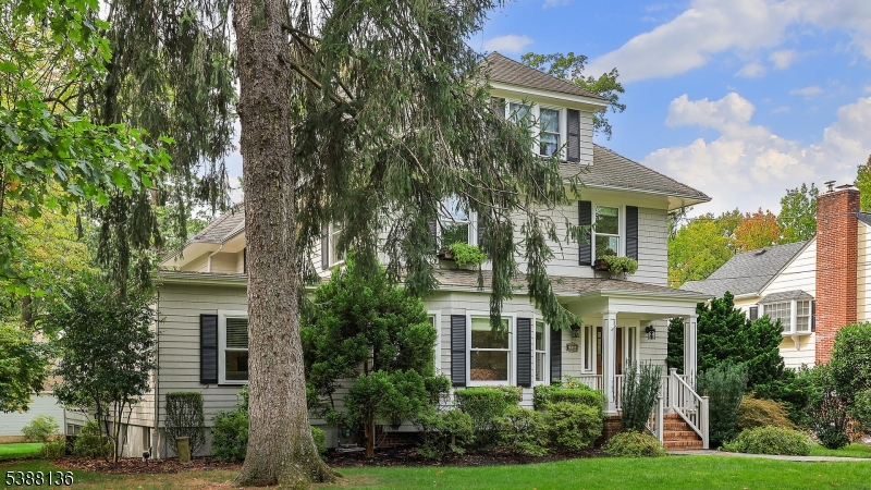 559 Lawrence Ave
