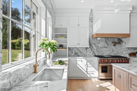 293 Old Short Hills Rd Millburn Twp. NJ 07078