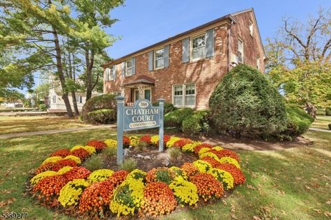 380 Main St 5 Chatham Boro NJ 07928
