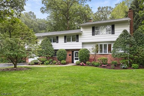 2242 Shawnee Path Scotch Plains Twp. NJ 07076