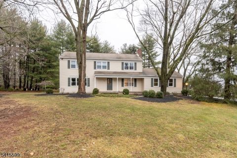 6 Betsy Ross Ct Montgomery Twp. NJ 08558