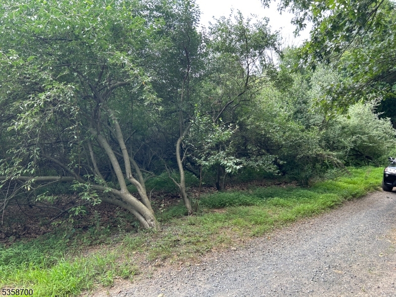 000 Pleasant Grove Rd