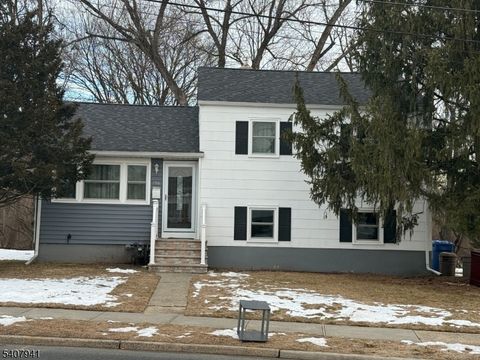 706 Cedarbrook Ave South Plainfield Boro NJ 07080